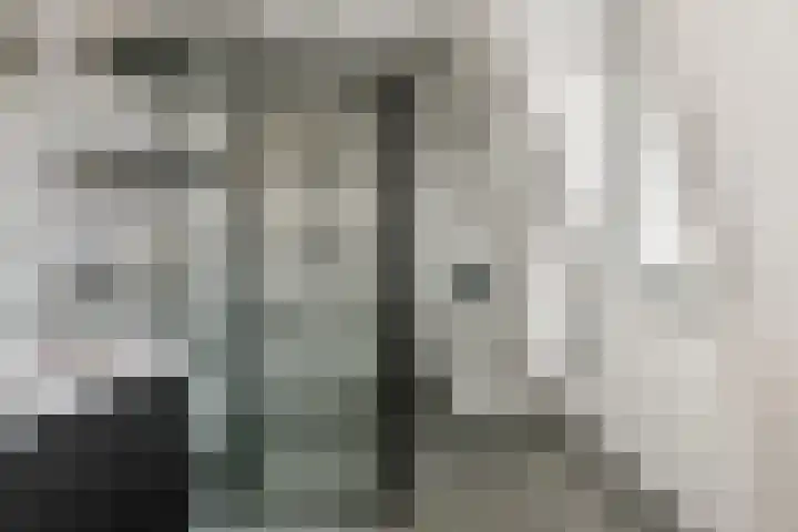 Geuzenweg 19 Hilversum thumbnail 20