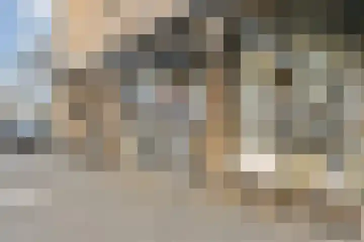Geuzenweg 19 Hilversum thumbnail 29