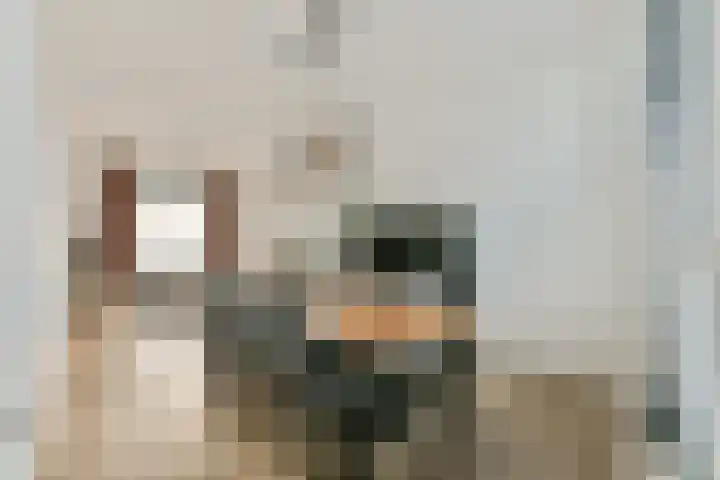 Geuzenweg 19 Hilversum thumbnail 4