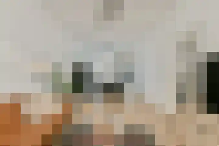 Geuzenweg 19 Hilversum thumbnail 8