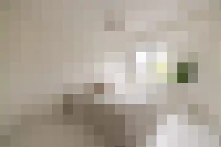 Geuzenweg 199 Hilversum thumbnail 19