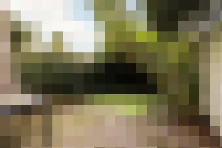 Geuzenweg 199 Hilversum thumbnail 25