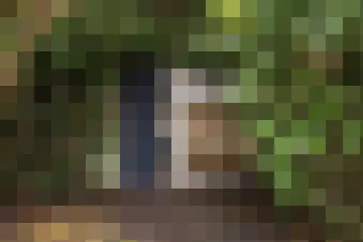 Geuzenweg 199 Hilversum thumbnail 27