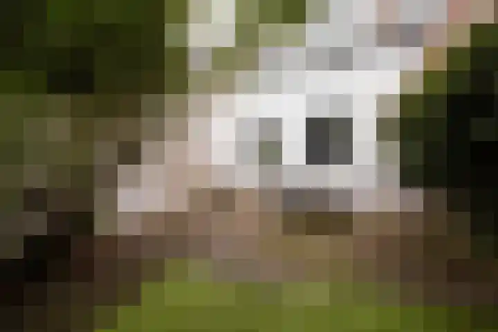Geuzenweg 199 Hilversum thumbnail 29