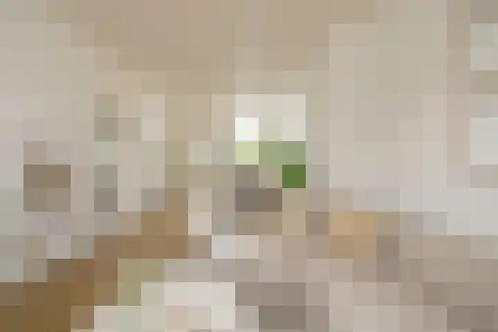 Geuzenweg 199 Hilversum thumbnail 5