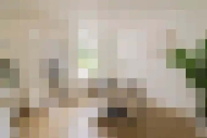 Geuzenweg 199 Hilversum thumbnail 8