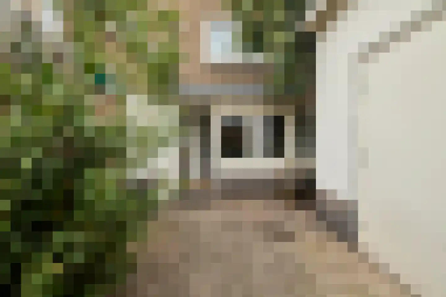 Geuzenweg 20 A in Hilversum