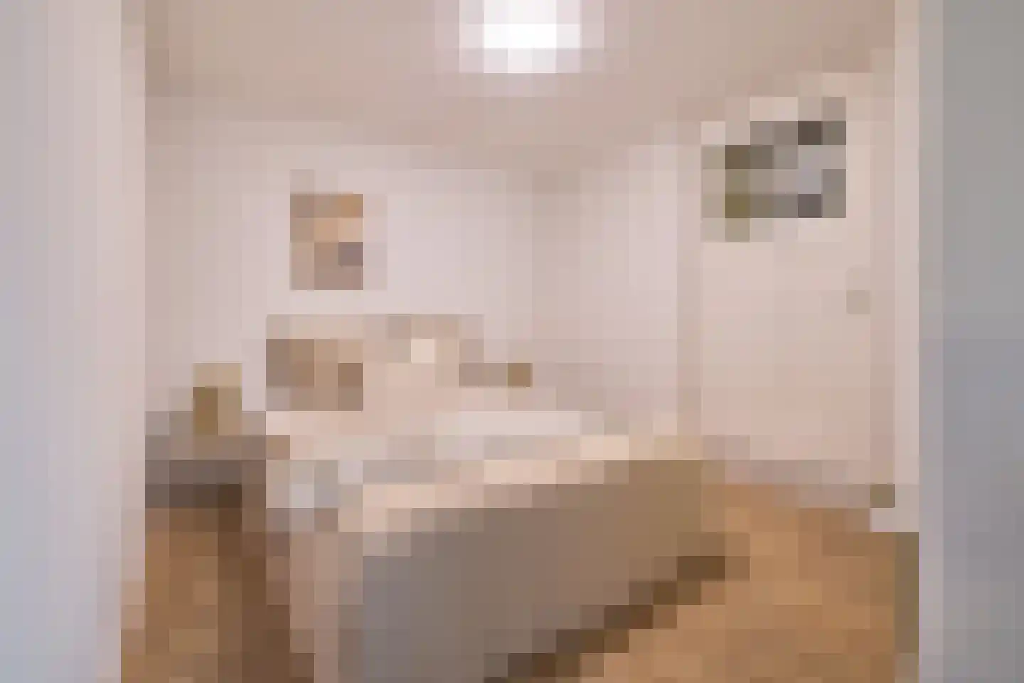 Geuzenweg 20 A Hilversum thumbnail 18
