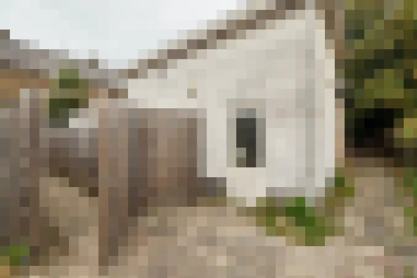 Geuzenweg 20 A Hilversum thumbnail 22