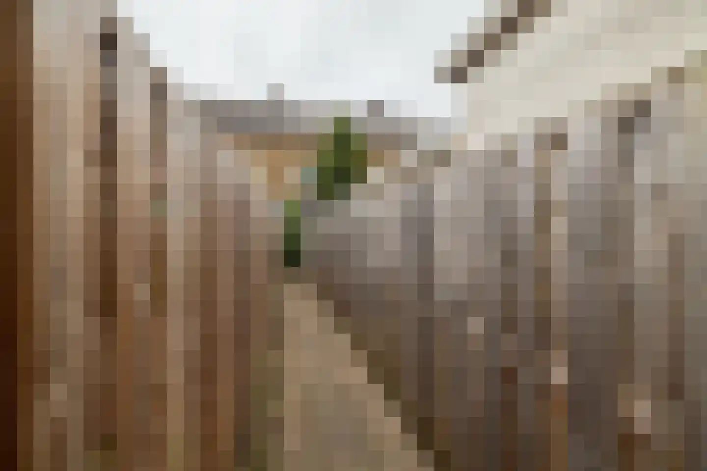 Geuzenweg 20 A Hilversum thumbnail 24