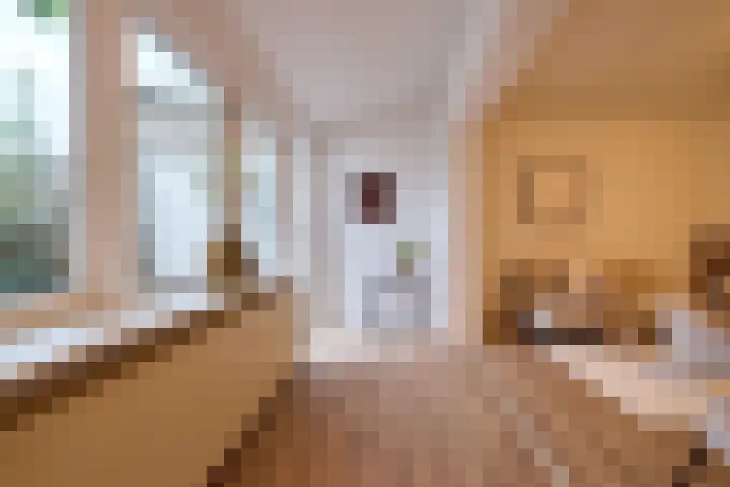 Geuzenweg 20 A Hilversum thumbnail 6
