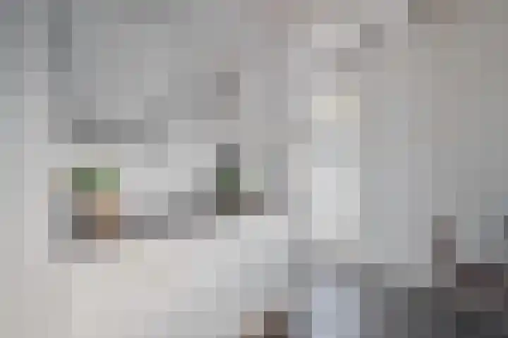 Geuzenweg 20 D Hilversum thumbnail 11