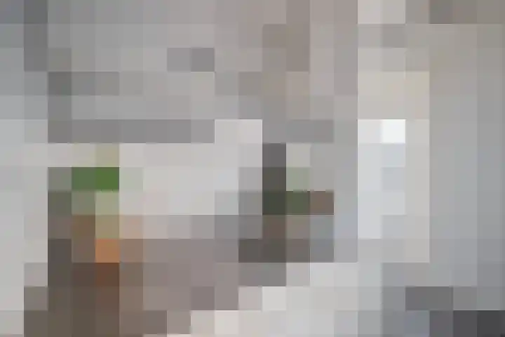 Geuzenweg 20 D Hilversum thumbnail 12