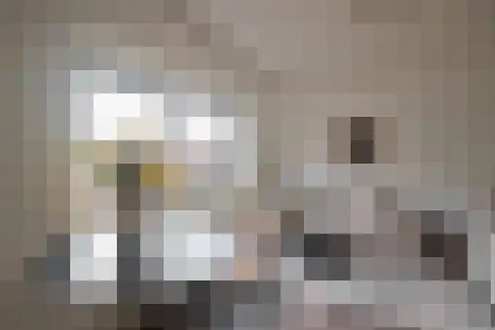Geuzenweg 20 D Hilversum thumbnail 13