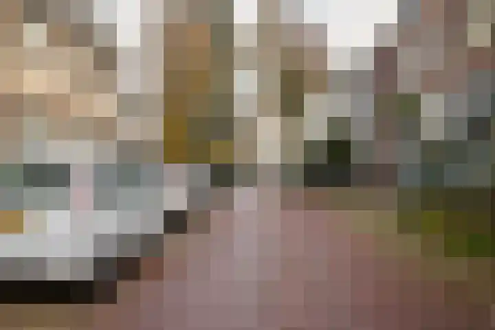 Geuzenweg 20 D Hilversum thumbnail 21