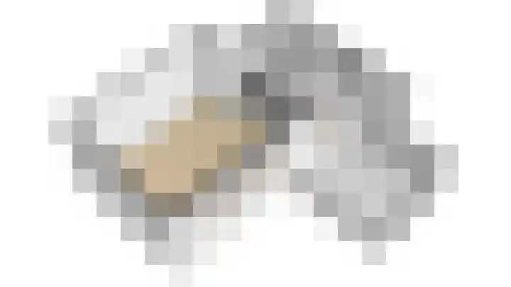 Geuzenweg 20 D Hilversum thumbnail 26