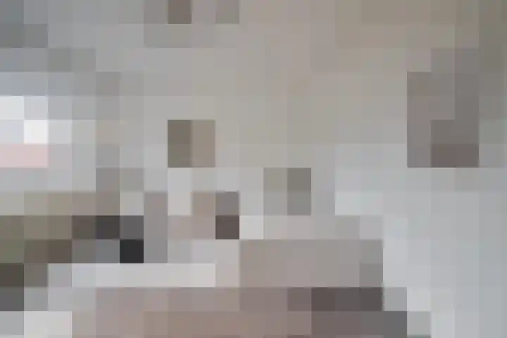 Geuzenweg 20 D Hilversum thumbnail 4