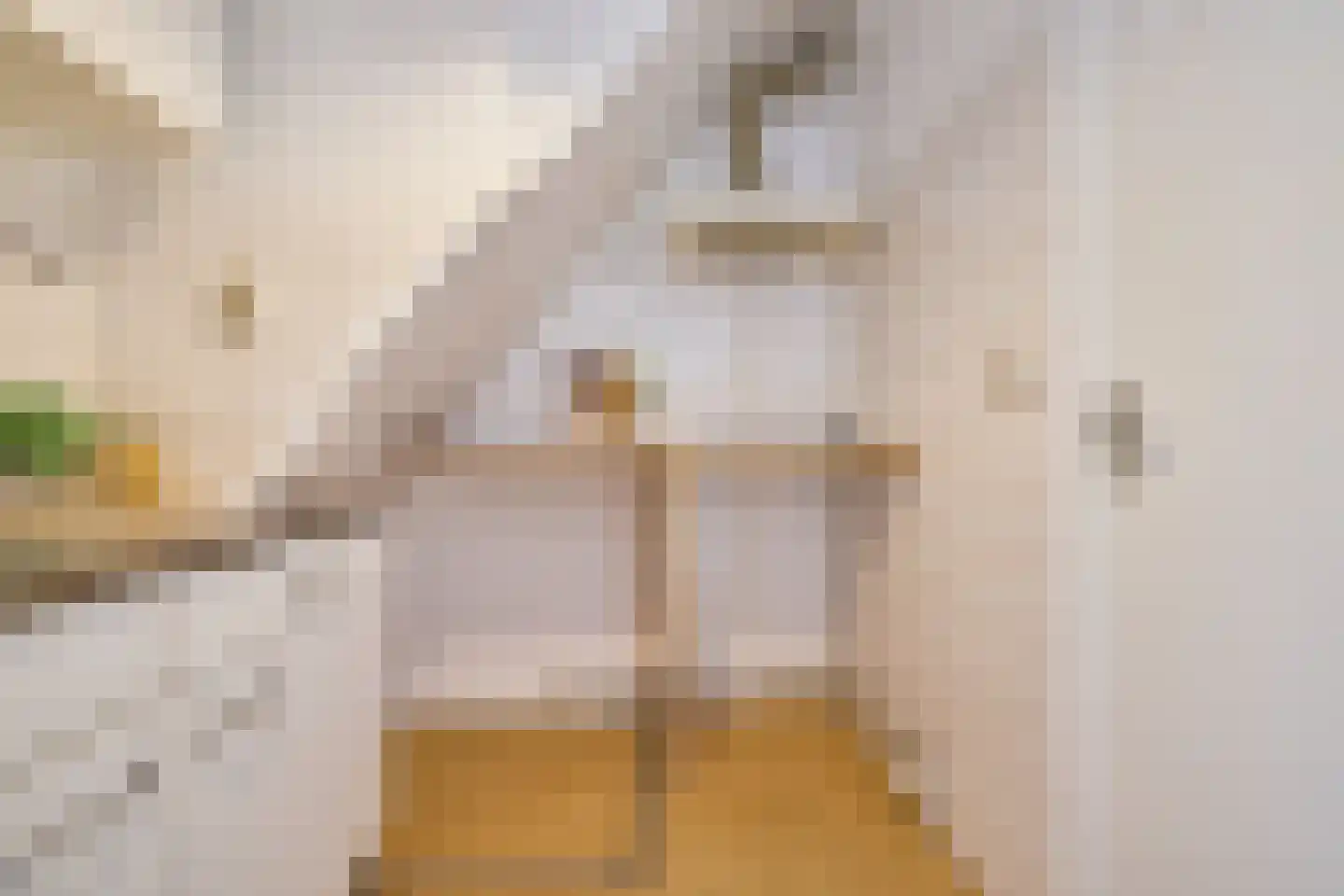 Geuzenweg 20 Hilversum thumbnail 12