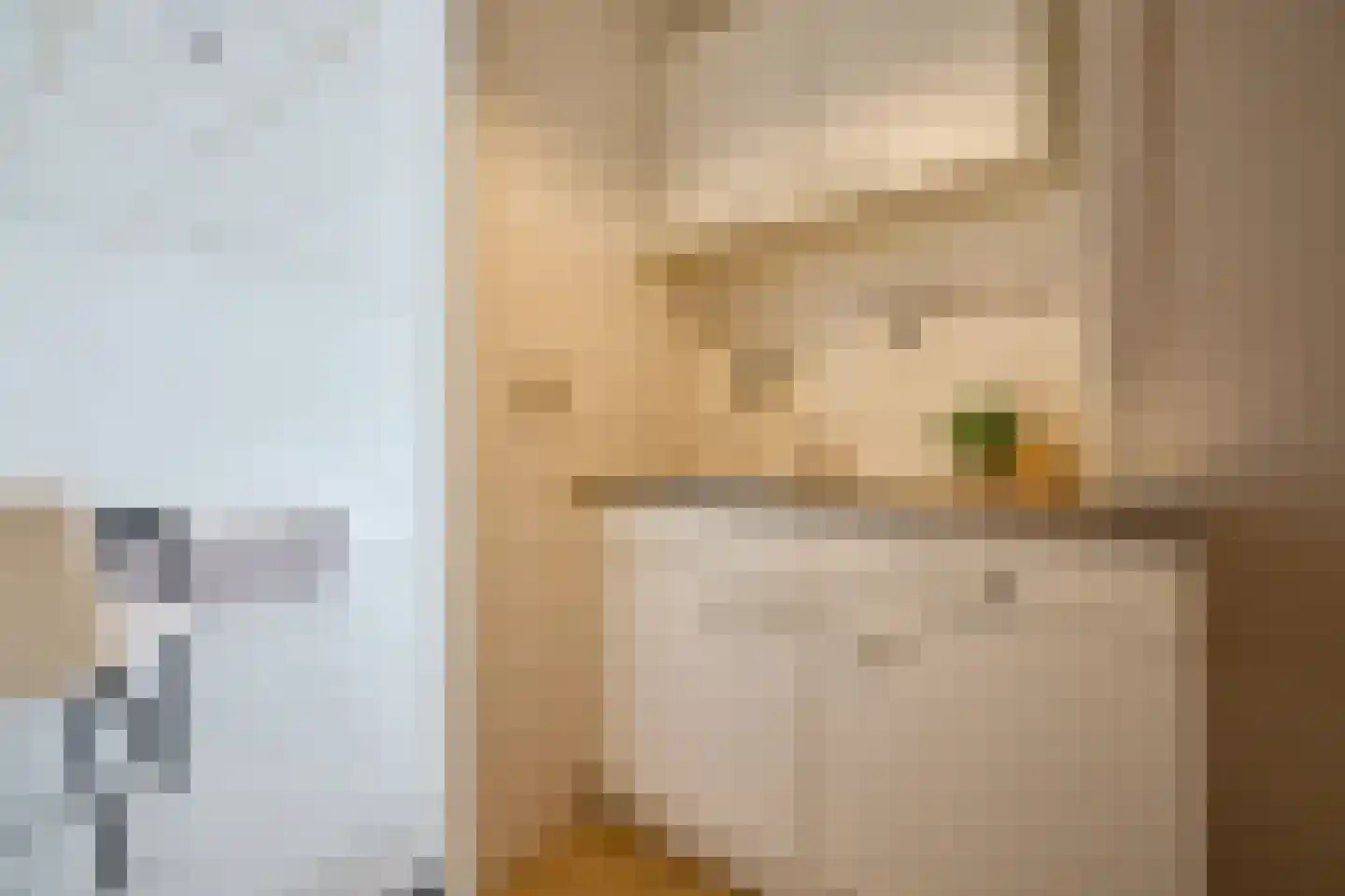 Geuzenweg 20 Hilversum thumbnail 14
