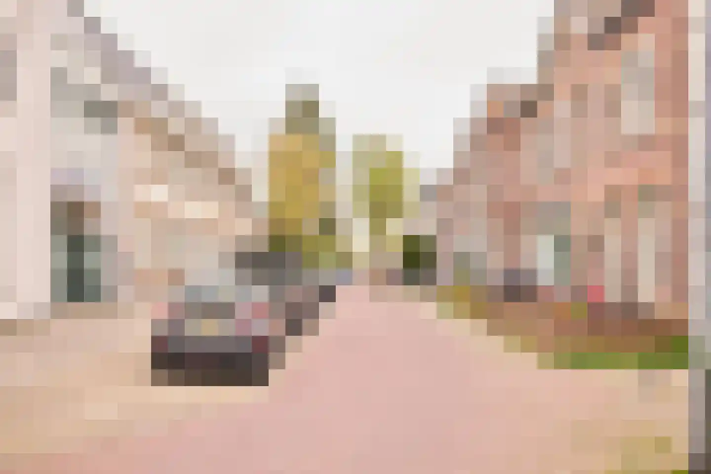 Geuzenweg 20 Hilversum thumbnail 18