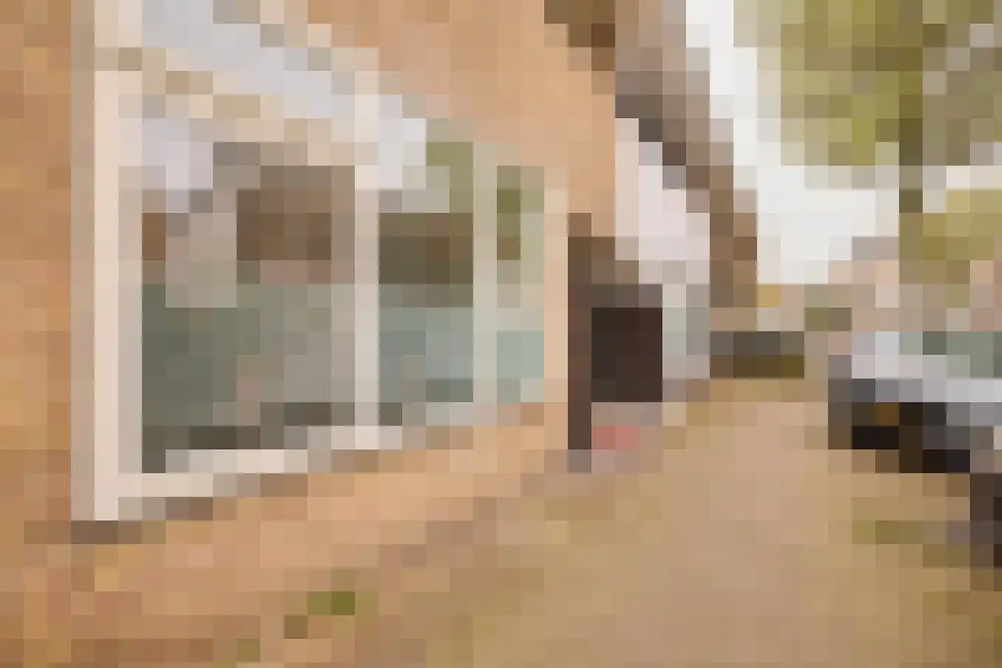 Geuzenweg 20 Hilversum thumbnail 20