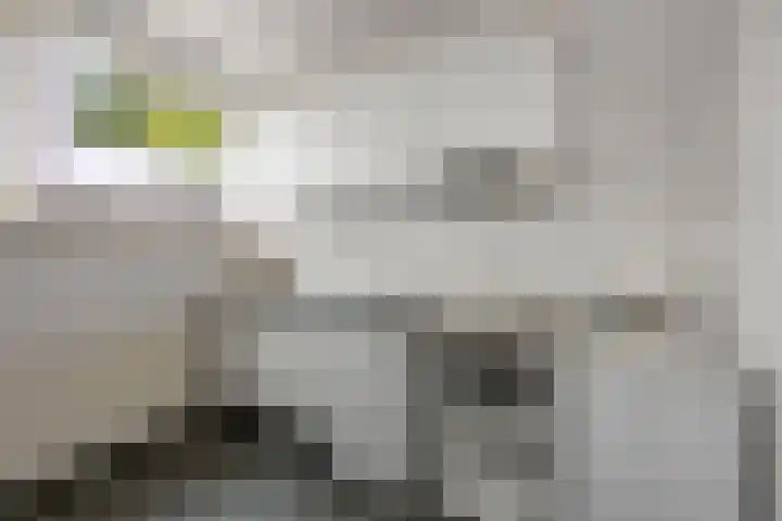 Geuzenweg 22 Hilversum thumbnail 20