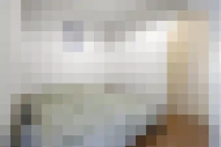 Geuzenweg 22 Hilversum thumbnail 24