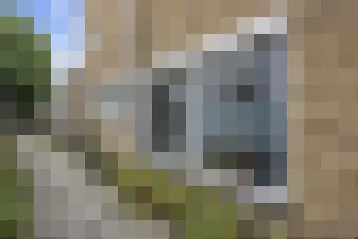 Geuzenweg 22 Hilversum thumbnail 33