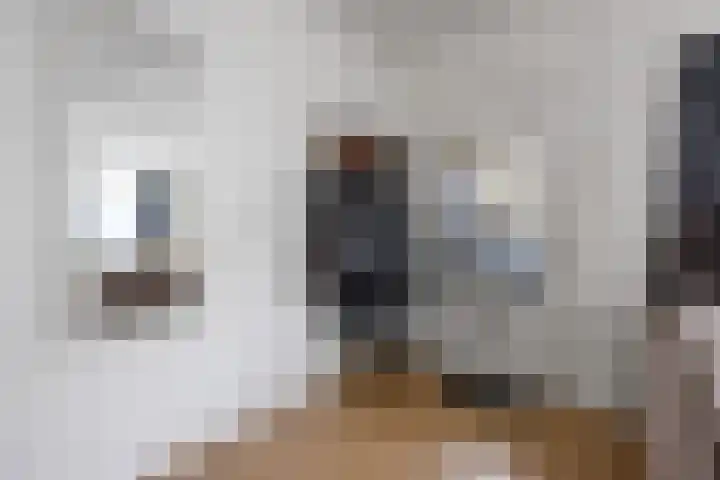 Geuzenweg 22 Hilversum thumbnail 5