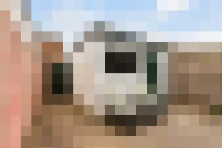 Geuzenweg 227 Hilversum thumbnail 19