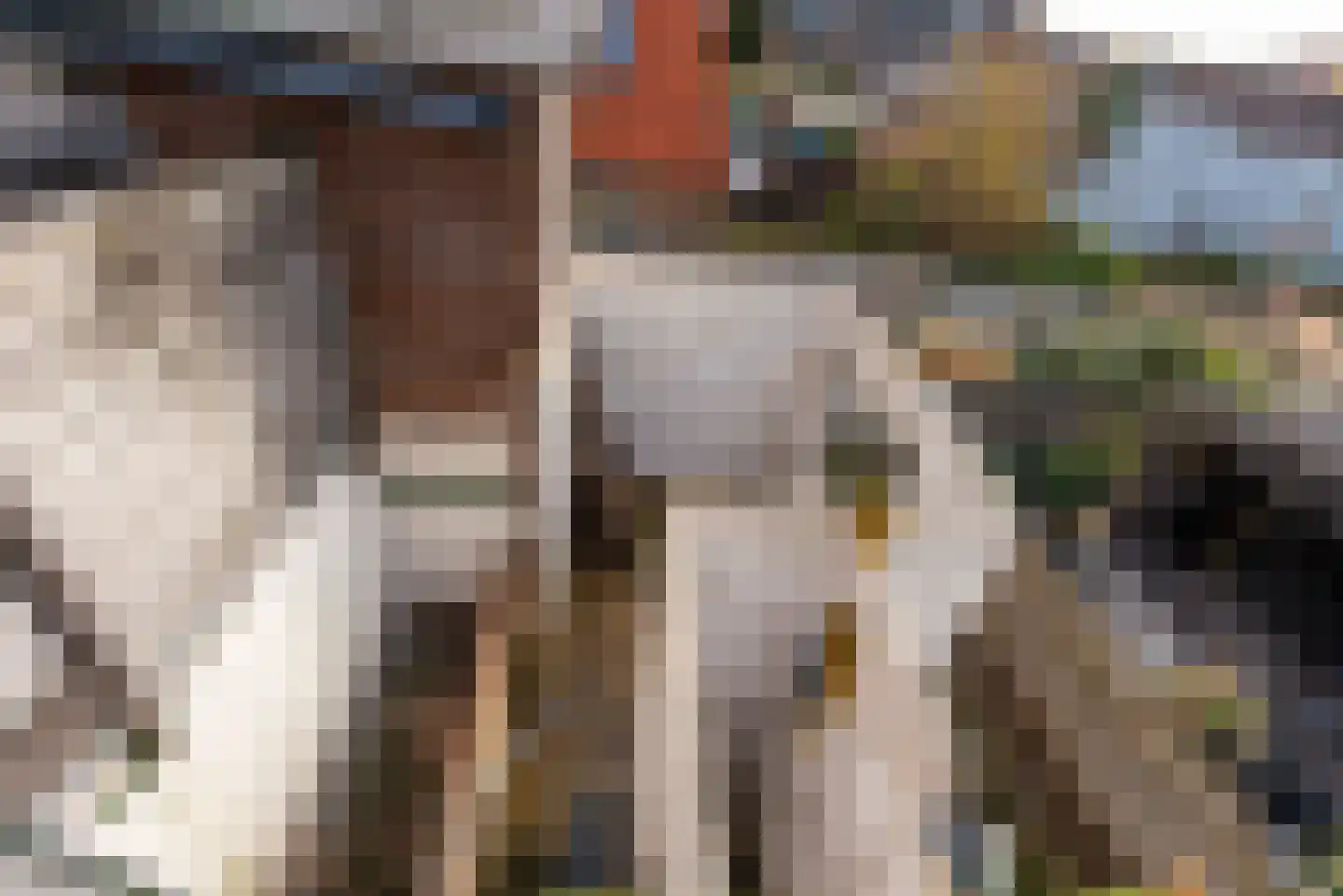 Geuzenweg 230 Hilversum thumbnail 21