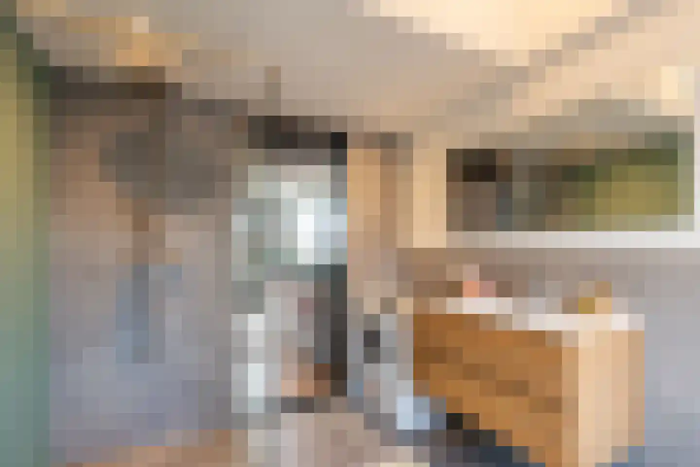 Geuzenweg 230 Hilversum thumbnail 7