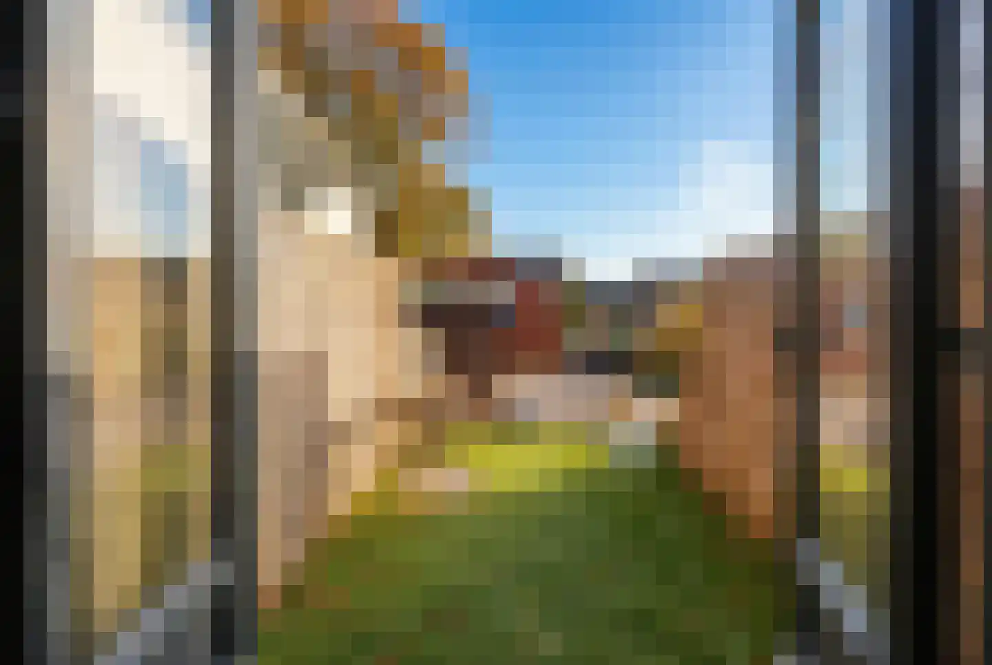 Geuzenweg 230 Hilversum thumbnail 9