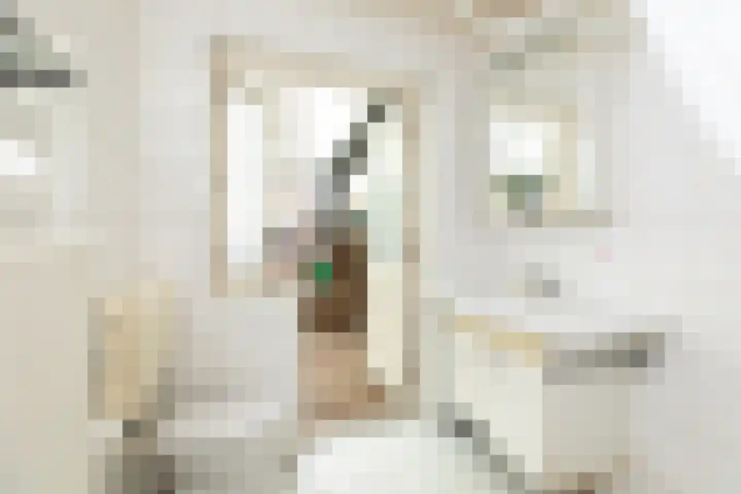 Geuzenweg 232 Hilversum thumbnail 23