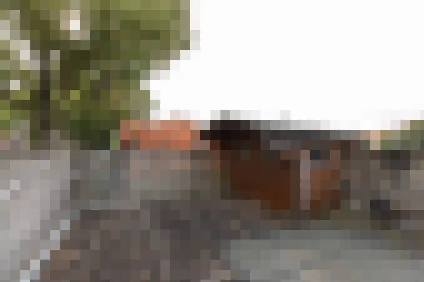Geuzenweg 232 Hilversum thumbnail 29