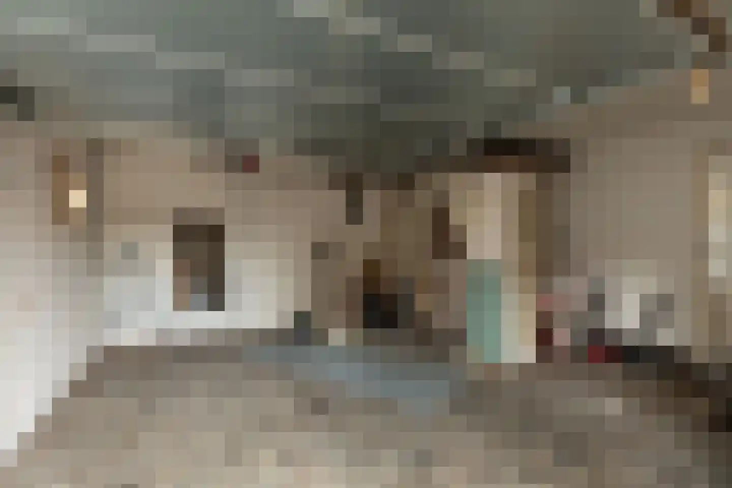 Geuzenweg 232 Hilversum thumbnail 31