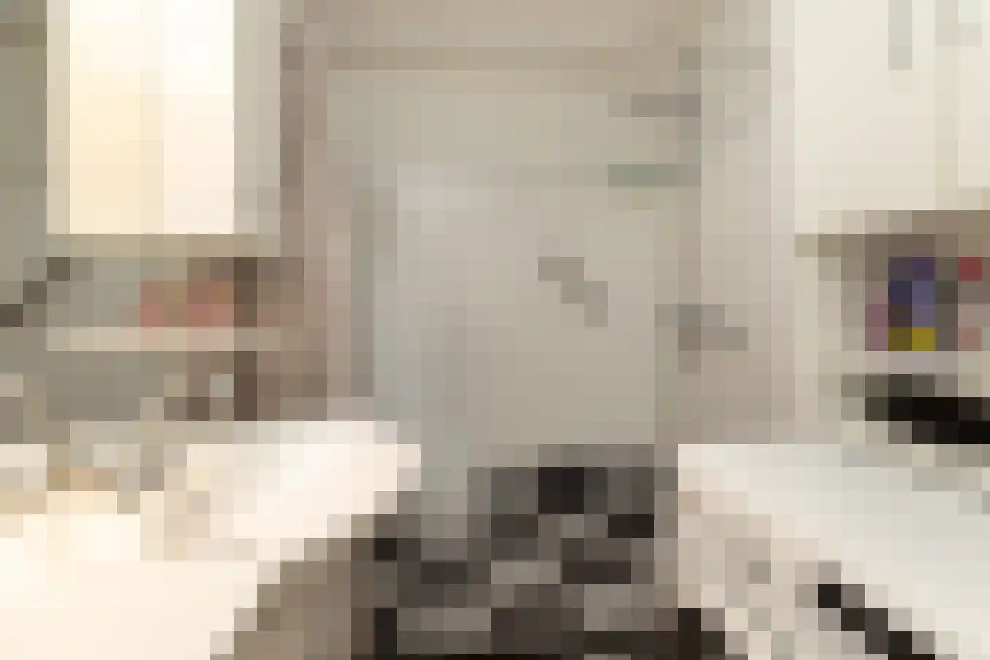 Geuzenweg 24 Hilversum thumbnail 12