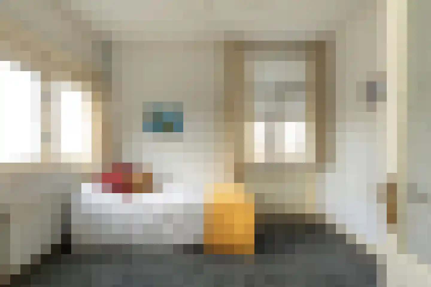 Geuzenweg 24 Hilversum thumbnail 19