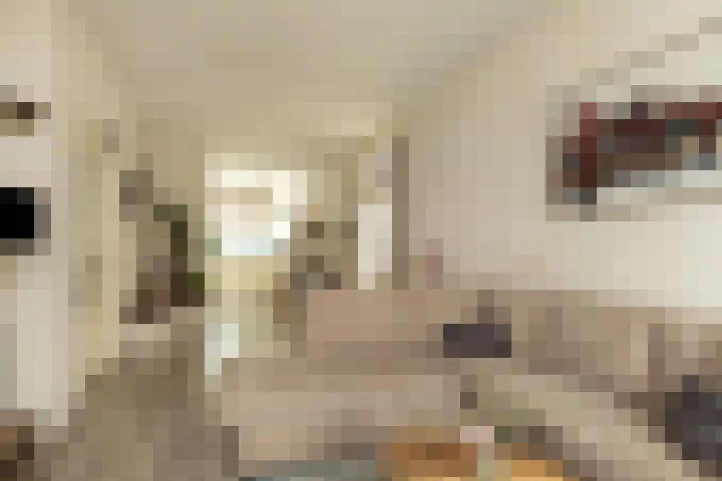 Geuzenweg 24 Hilversum thumbnail 4