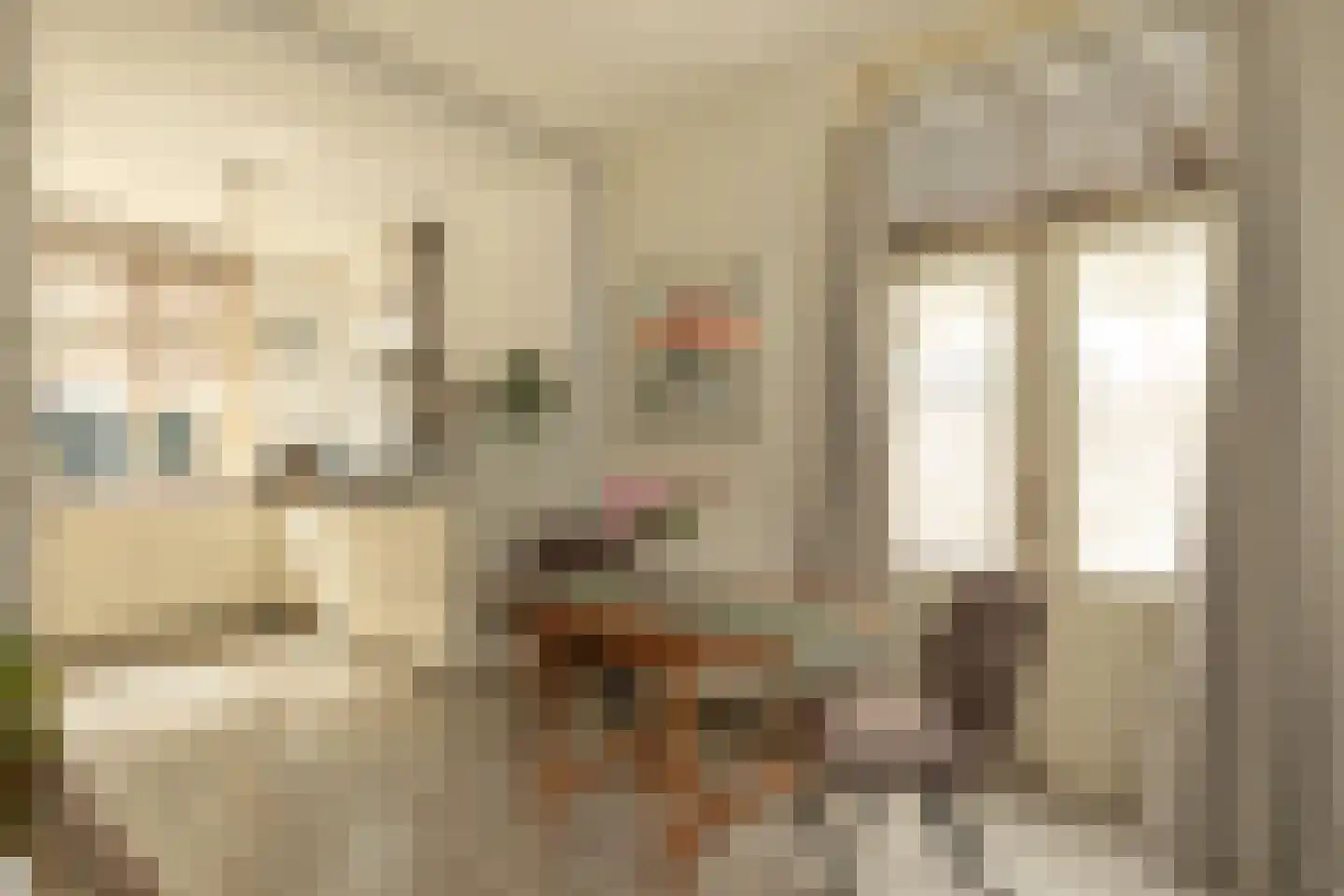 Geuzenweg 24 Hilversum thumbnail 7