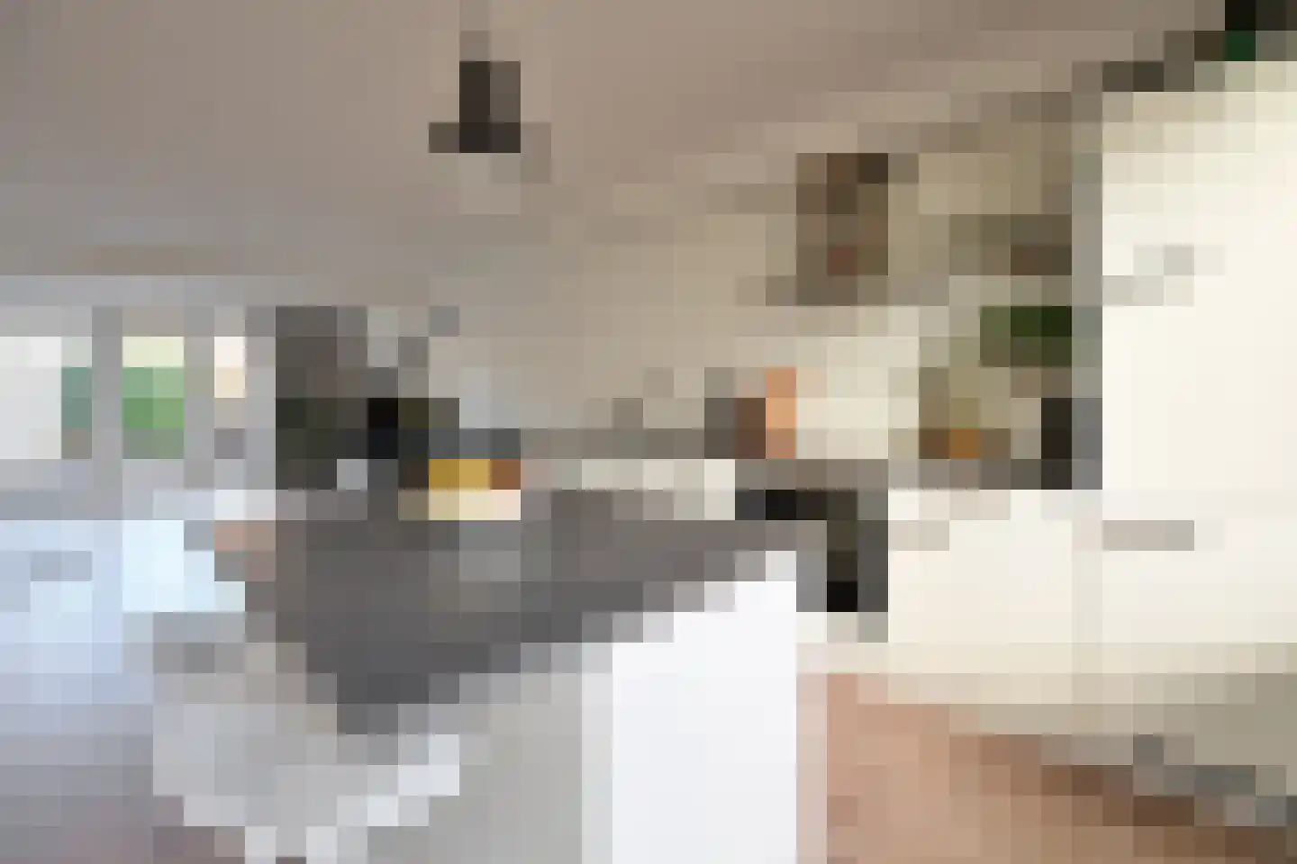 Geuzenweg 263 Hilversum thumbnail 9