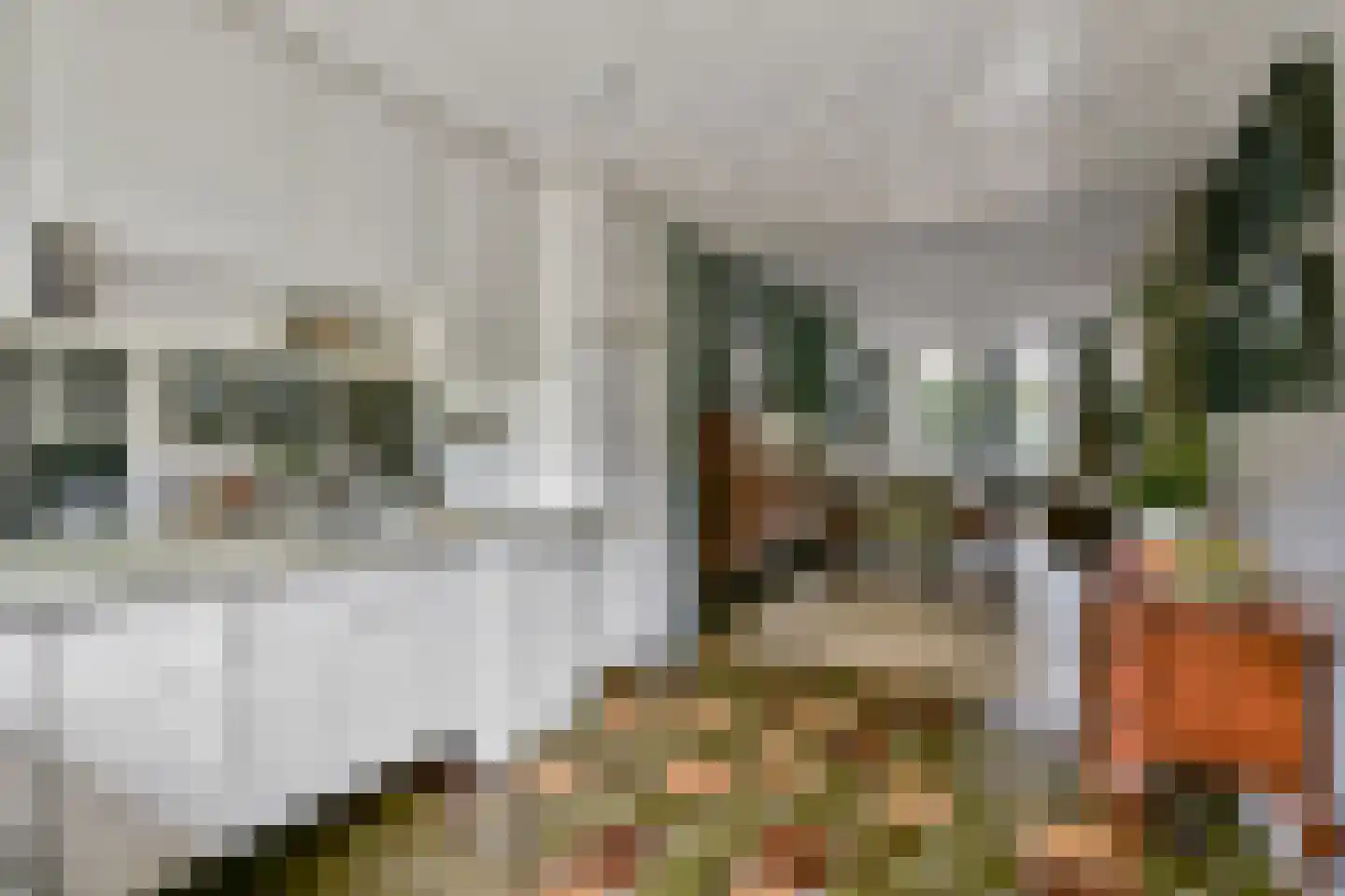Geuzenweg 266 Hilversum thumbnail 12