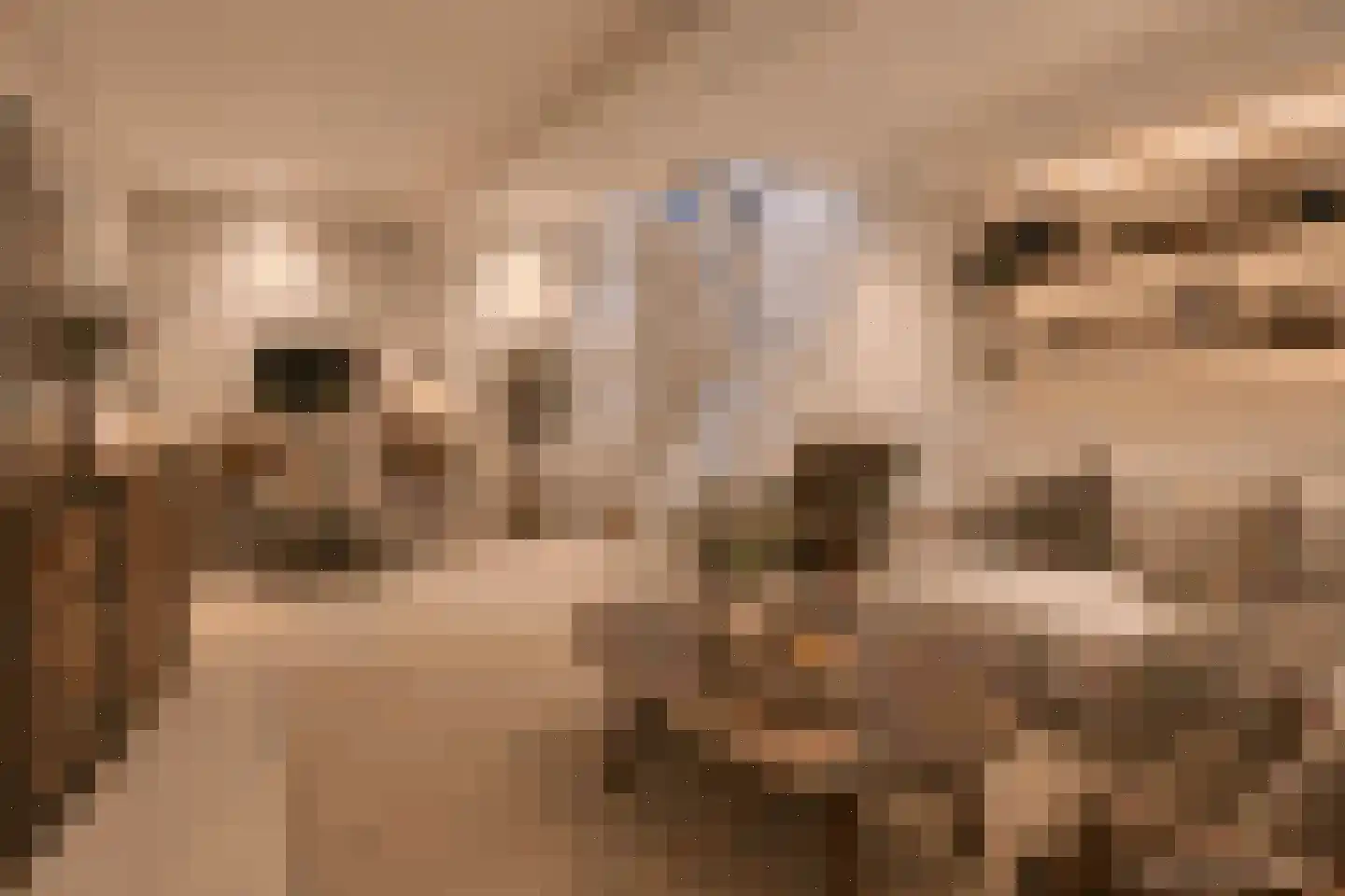 Geuzenweg 266 Hilversum thumbnail 14