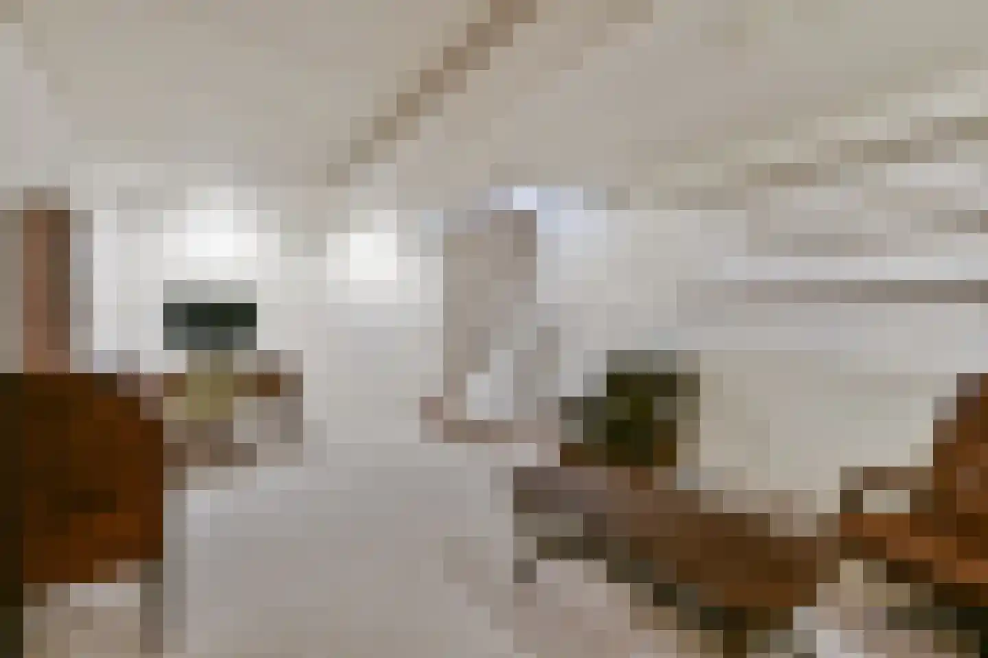 Geuzenweg 266 Hilversum thumbnail 15