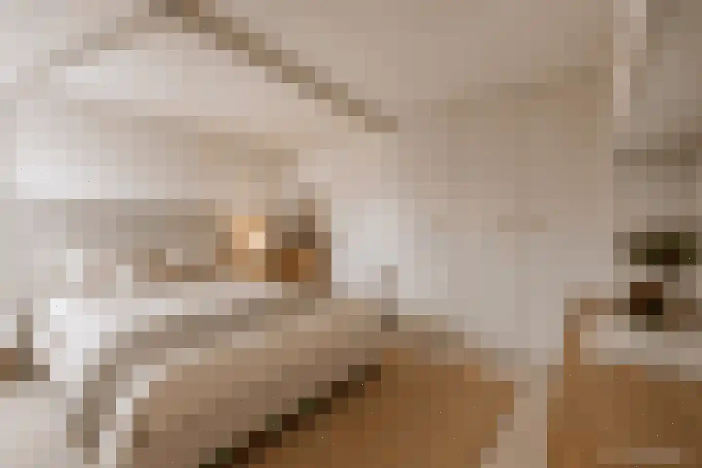 Geuzenweg 266 Hilversum thumbnail 20