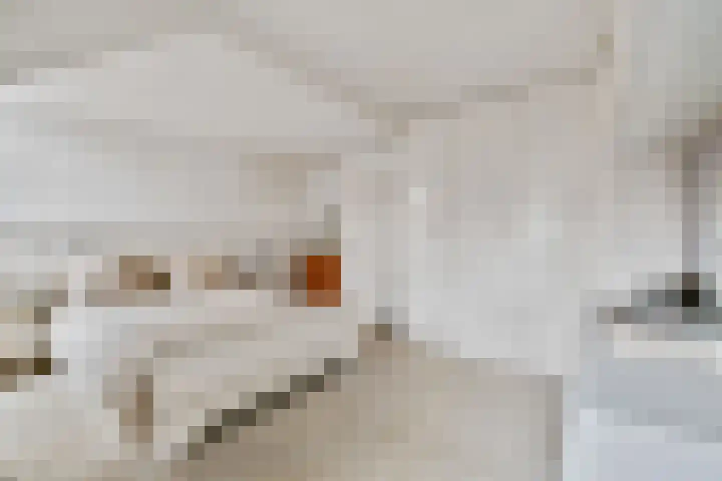 Geuzenweg 266 Hilversum thumbnail 21