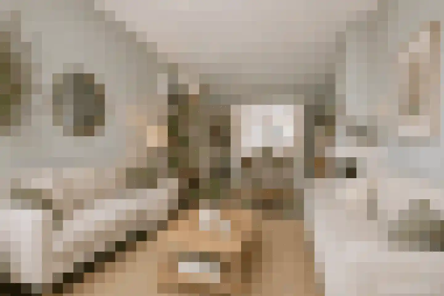 Geuzenweg 266 Hilversum thumbnail 6