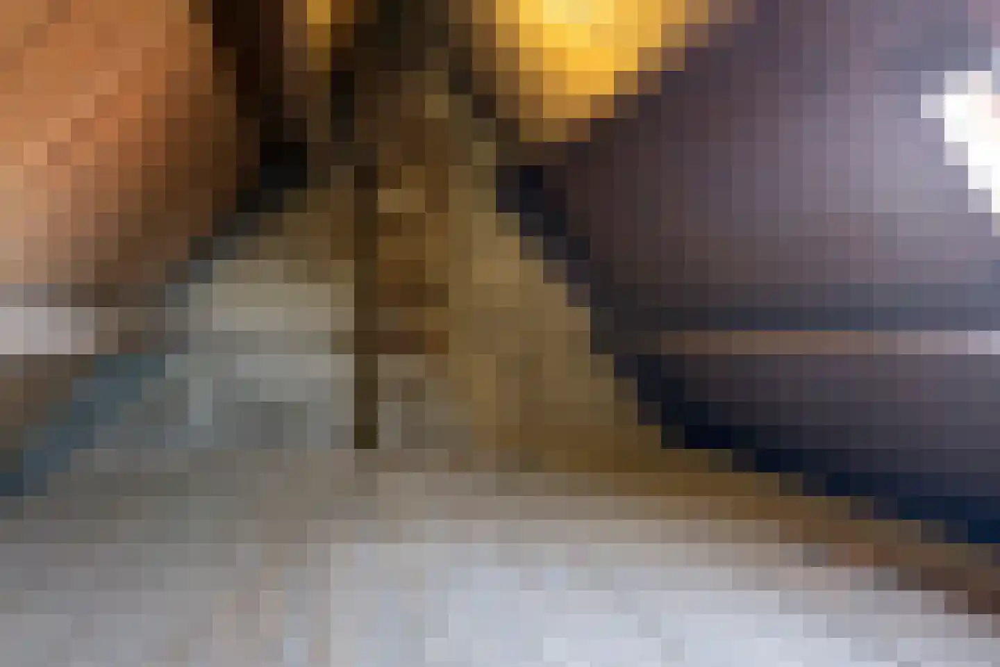 Geuzenweg 269 Hilversum thumbnail 20