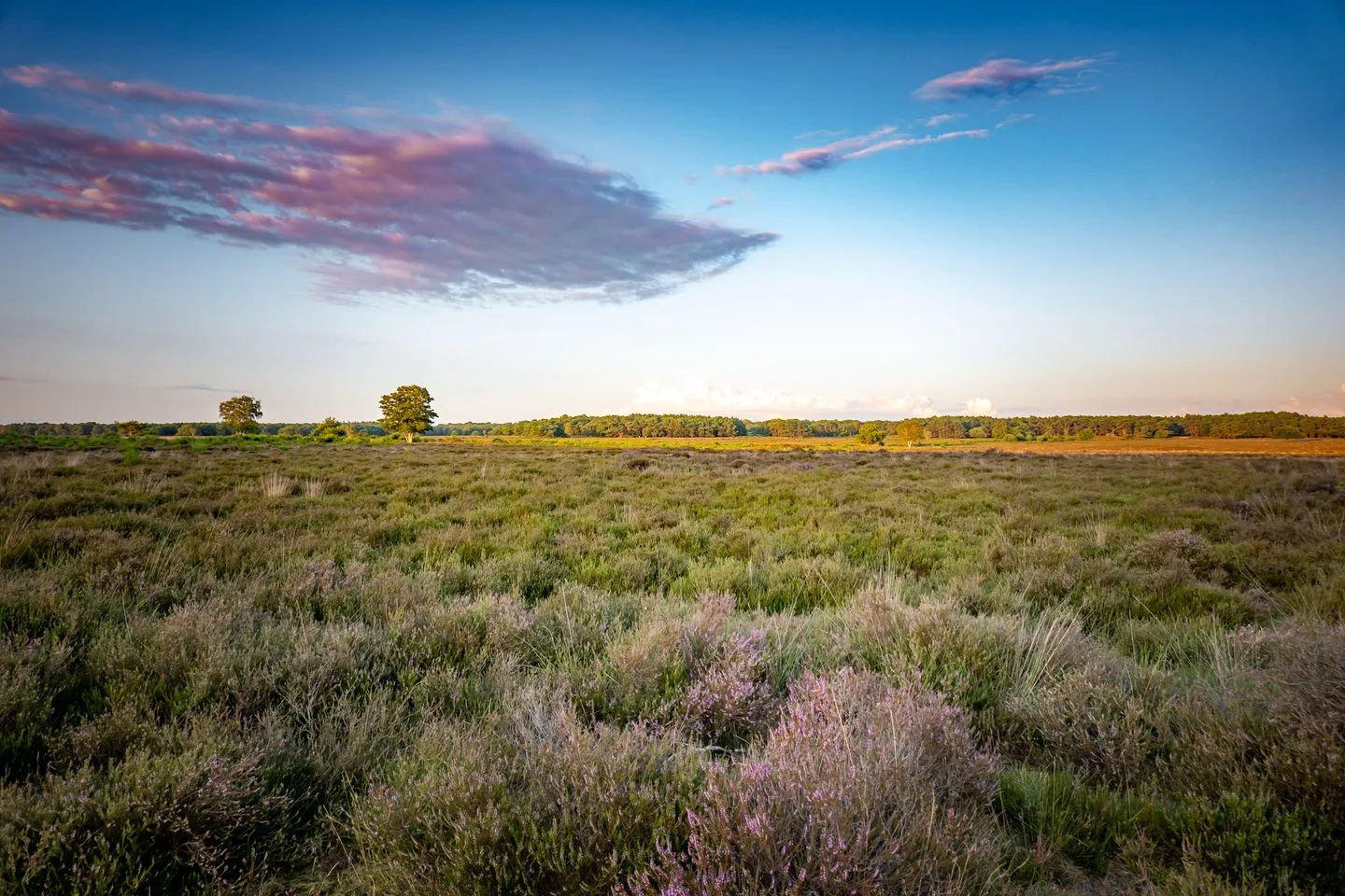 Geuzenweg 269 Hilversum thumbnail 33
