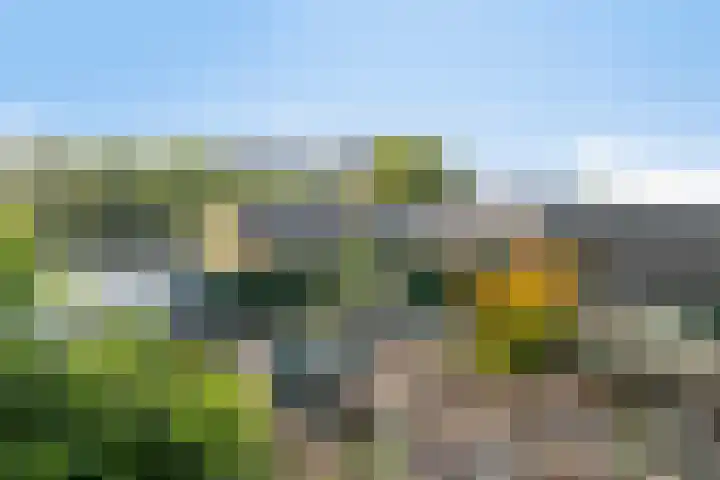Geuzenweg 286 Hilversum thumbnail 19
